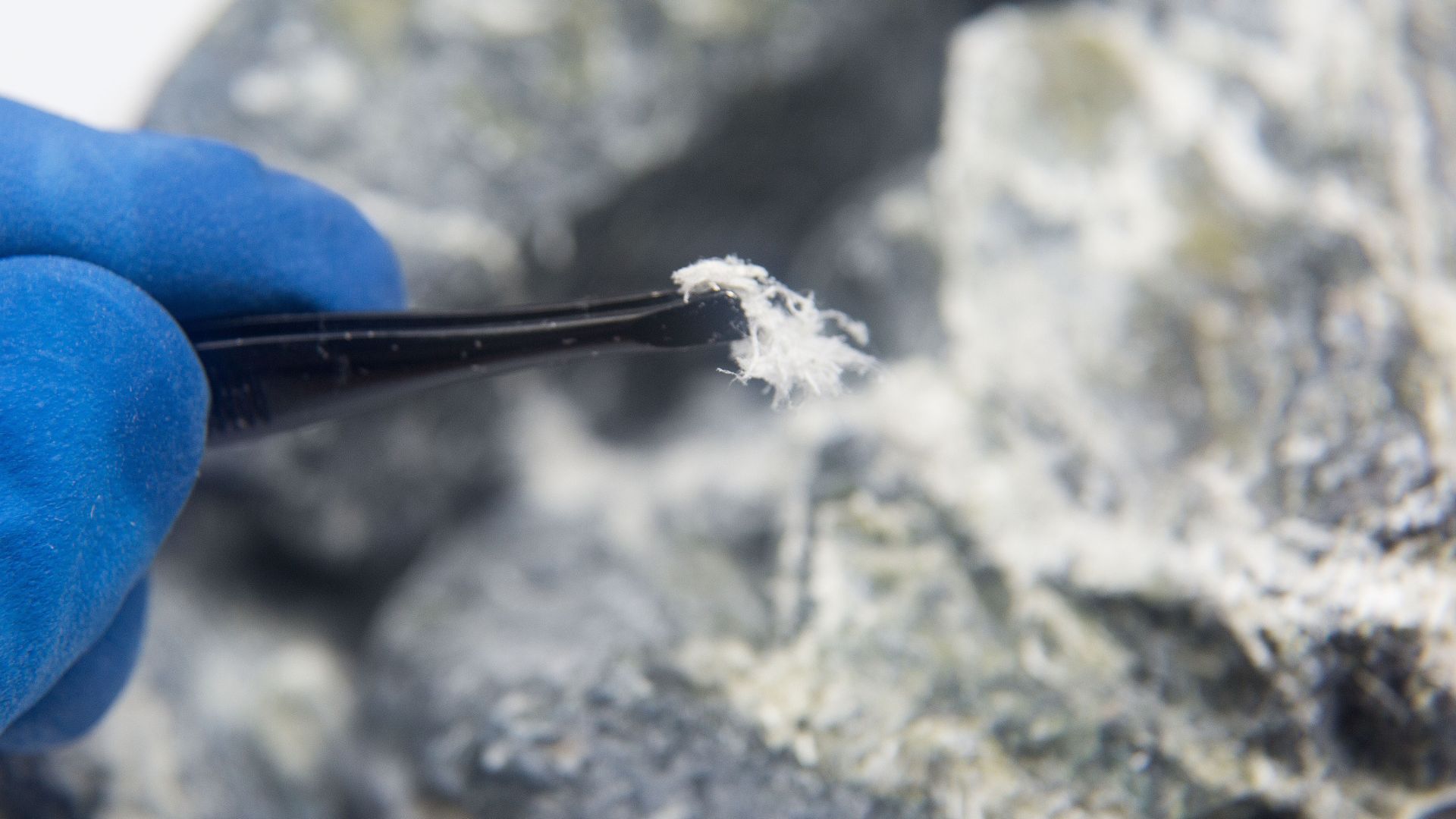 Asbestos Fiber Close Up